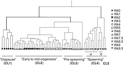 Capital Breeding in a Diapausing Copepod: A Transcriptomics Analysis